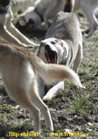 Hustopece 08 - 004.JPG